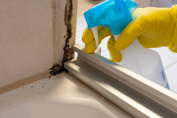 Best Bathroom Mold Remediation in Pompton Plains, NJ